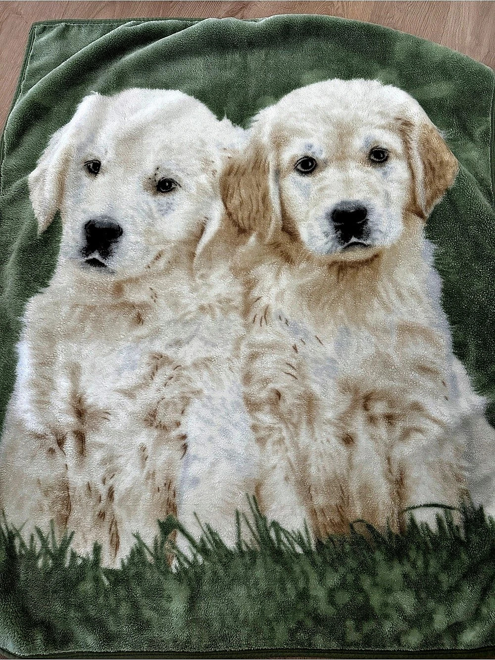 Puppy Print Fleece Blanket in Green & White. 48"x58"